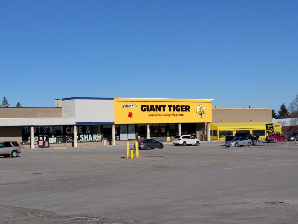 giant-tiger-55-angeline-st-n-lindsay-on-k9v-5b7-canada