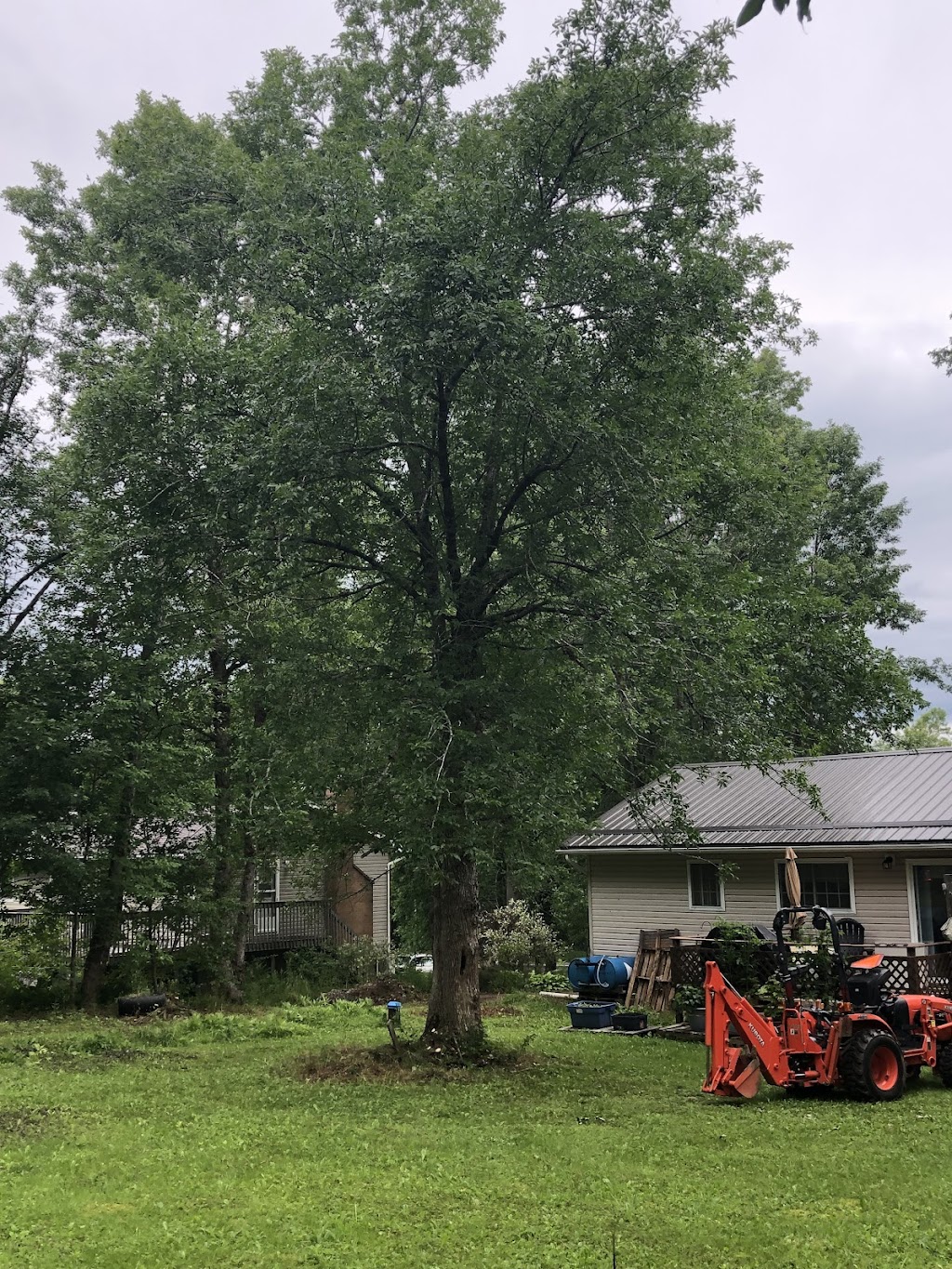 Tanglewood Tree Service | Mount Uniacke, NS B0N 1Z0, Canada | Phone: (902) 483-3632
