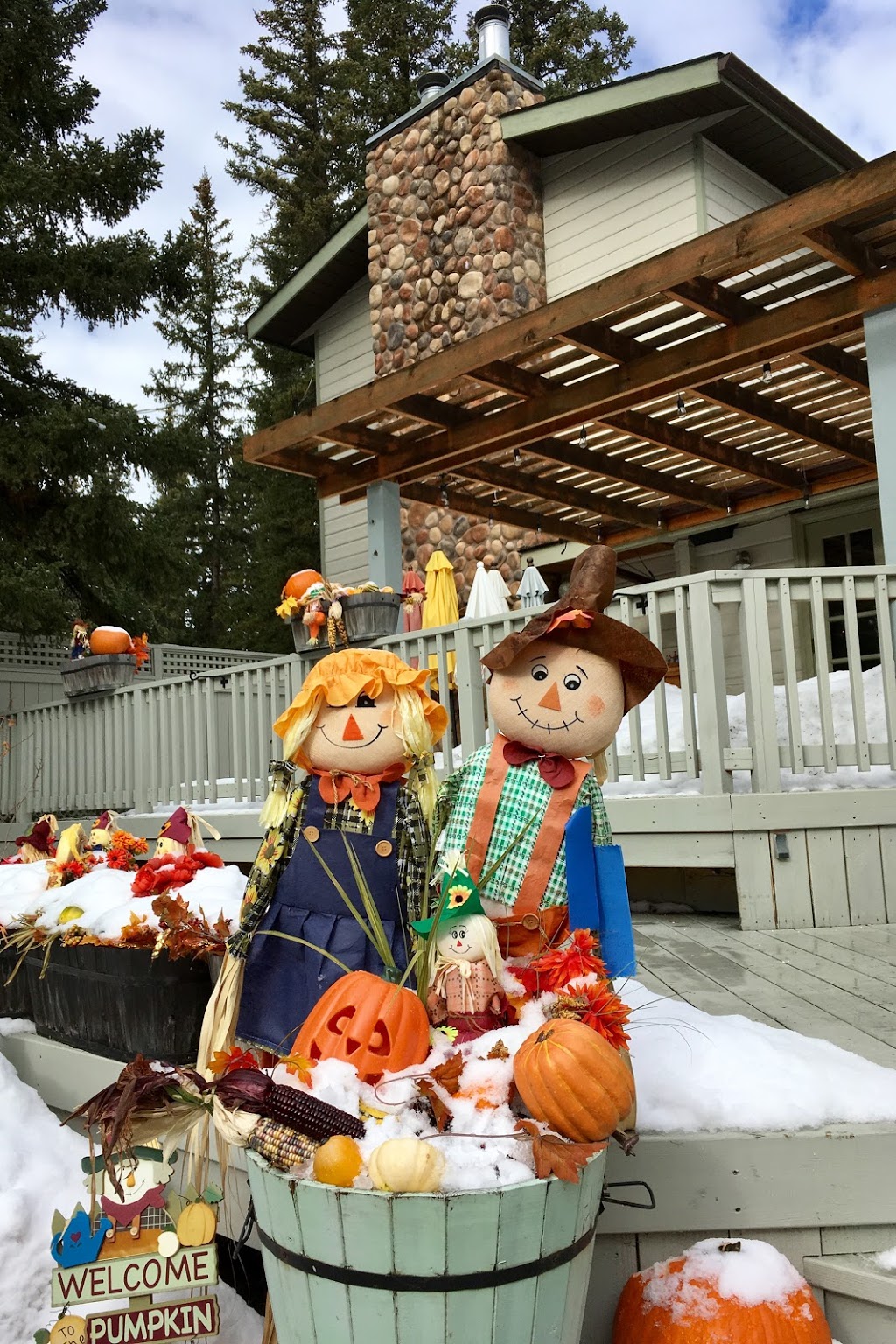 The Italian Farmhouse Restaurant & Bar | 20 Balsam Ave, Bragg Creek, AB T0L 0K0, Canada | Phone: (403) 949-2750