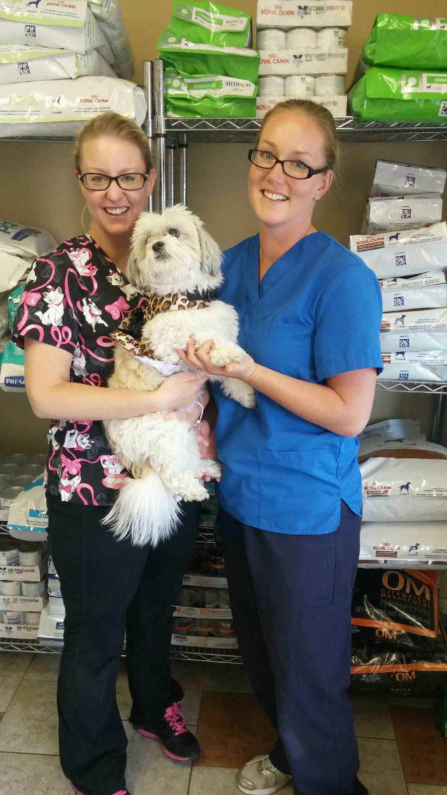 Bridlewood Veterinary Clinic | 26-17107 james McKevitt Rd SW, Calgary, AB T2Y 3Y4, Canada | Phone: (403) 201-6427