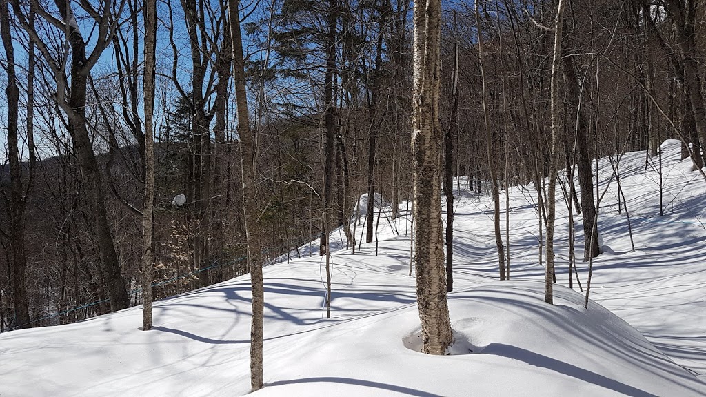 Camping et chalets ETSANHA | 1410 Route du Bras-du-Nord, Saint-Raymond, QC G3L 3J1, Canada | Phone: (418) 337-4184