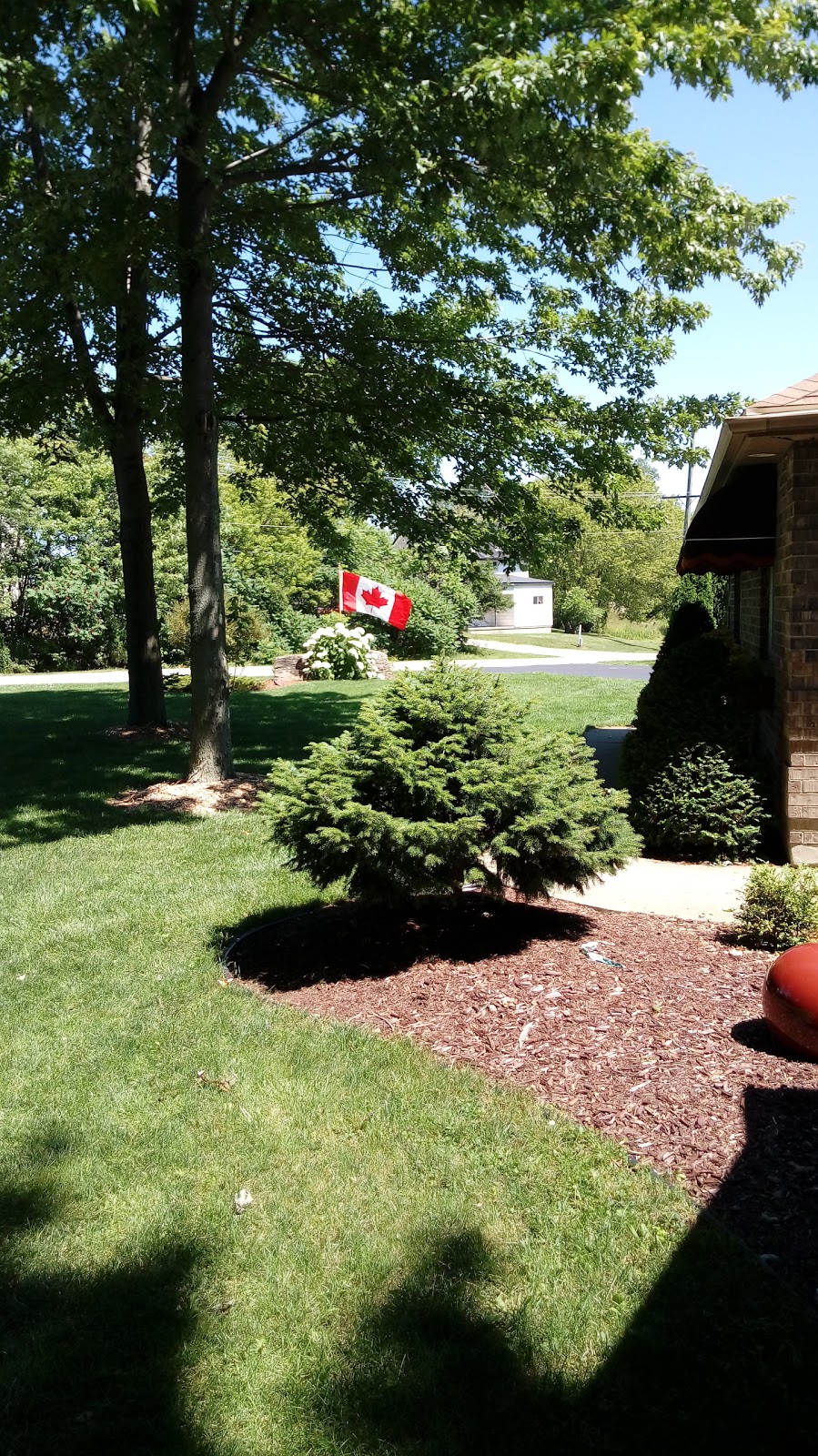 Wheatley Elevators Ltd | 492 Erie St N, Wheatley, ON N0P 2P0, Canada | Phone: (519) 825-4638
