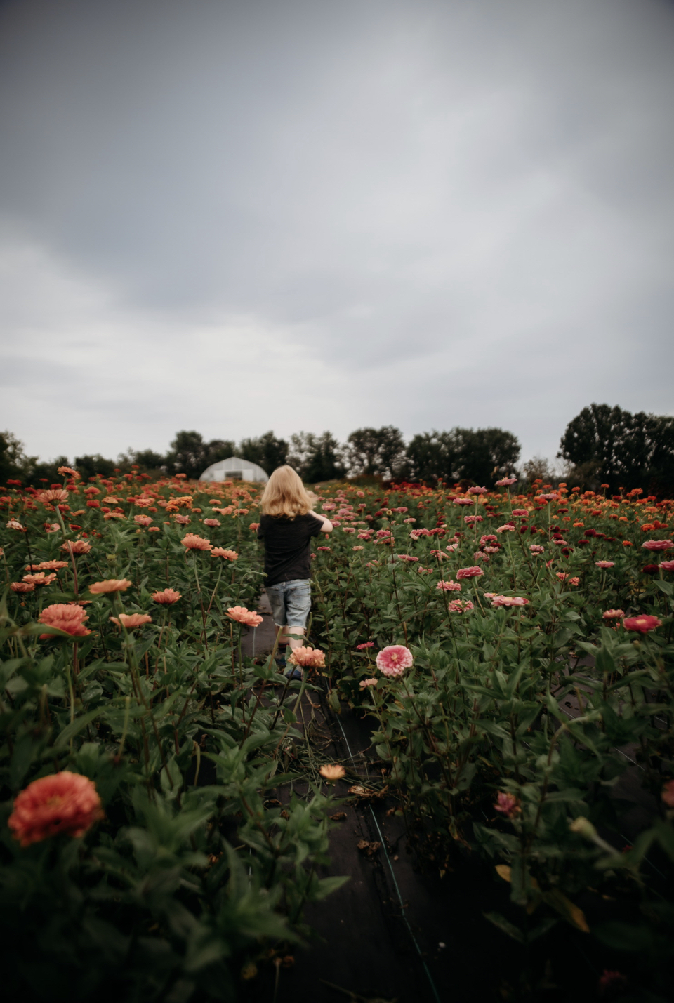 Chelsea Sims Photography | 83 West St, Belleville, ON K8N 4X6, Canada | Phone: (613) 849-7985