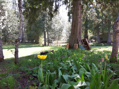 The Hitching Post Motel | 2054 Sea-to-Sky Hwy, Mount Currie, BC V0N 2K0, Canada | Phone: (604) 894-6276