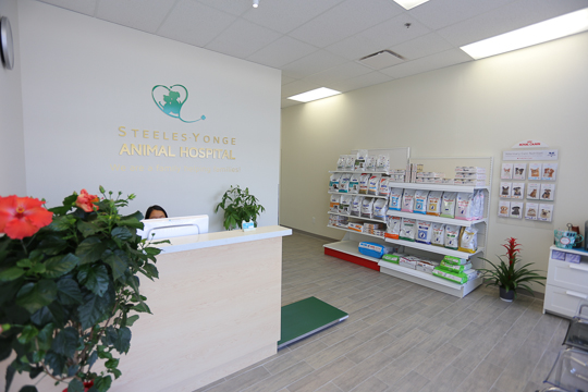 Steeles-Yonge Animal Hospital | 180 Steeles Ave W #15, Thornhill, ON L4J 2L1, Canada | Phone: (905) 597-8387