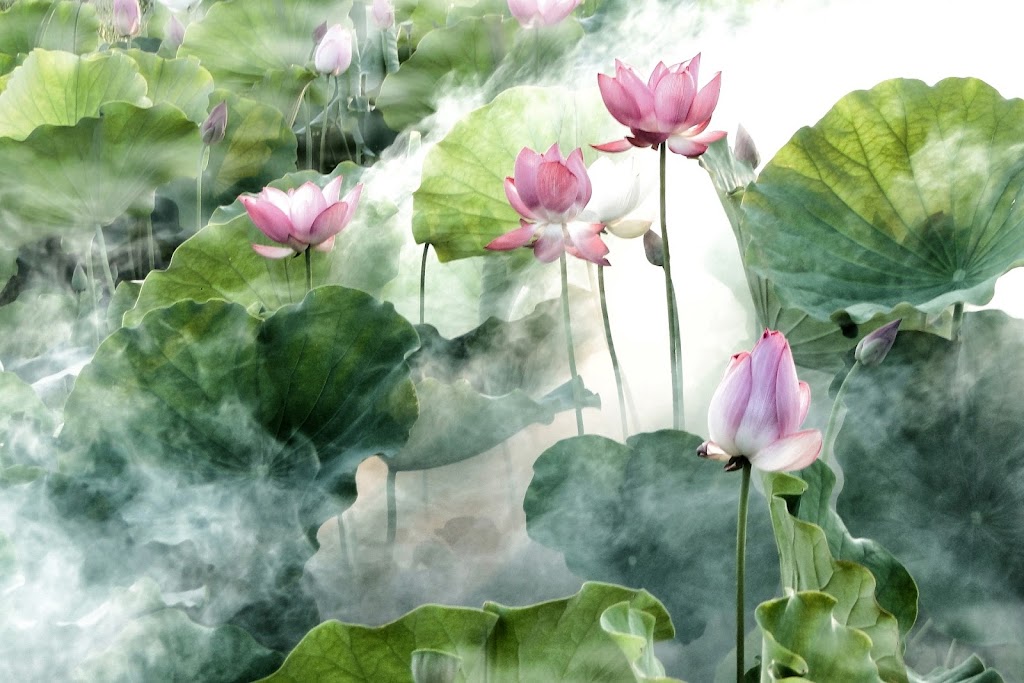 Amara Wellness | Inspire Blvd, Brampton, ON L6R 3X8, Canada | Phone: (647) 500-6124