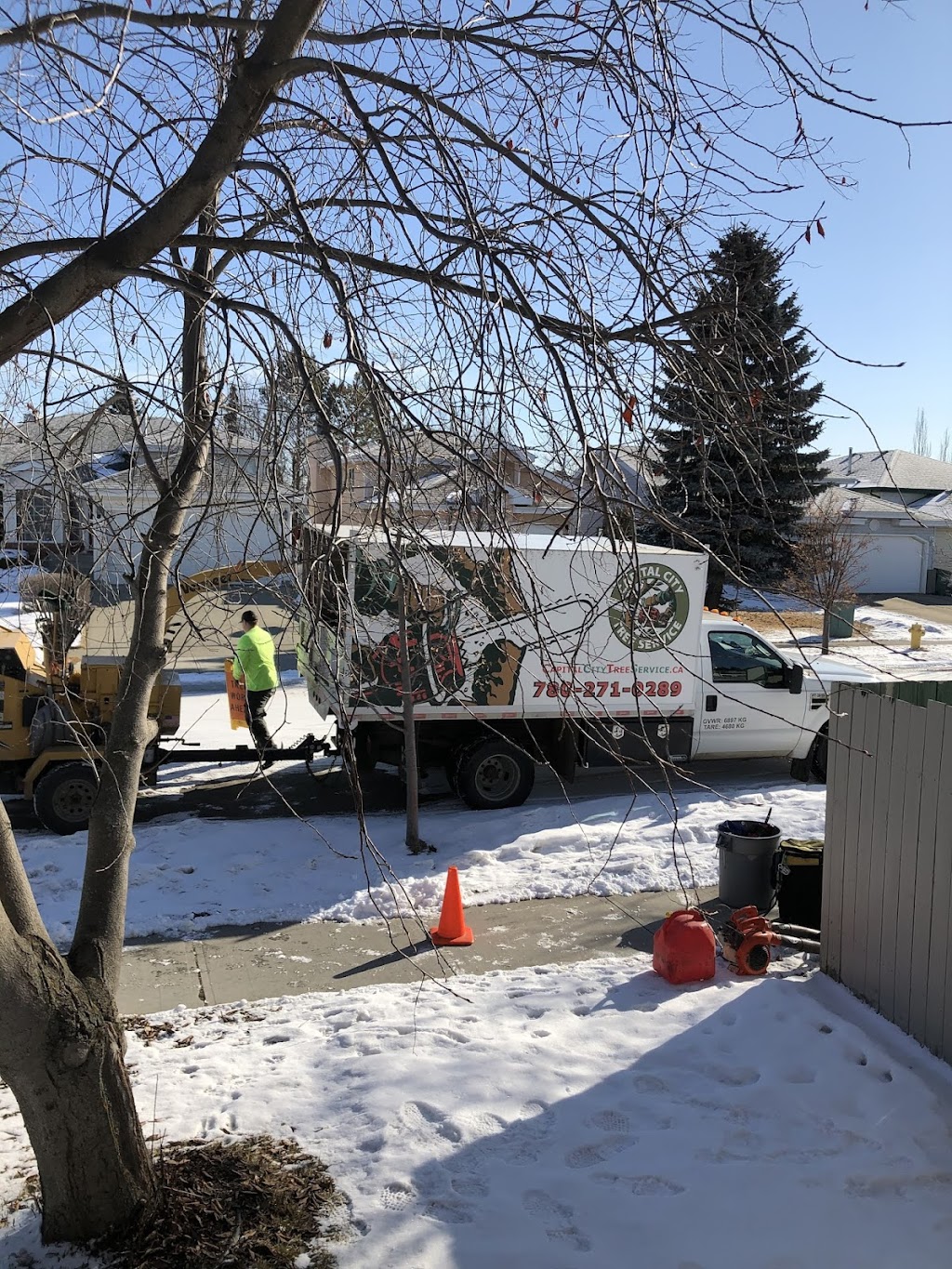 Capital City Tree Service | 5 Dover Ct, St. Albert, AB T8N 5Y4, Canada | Phone: (587) 735-6383