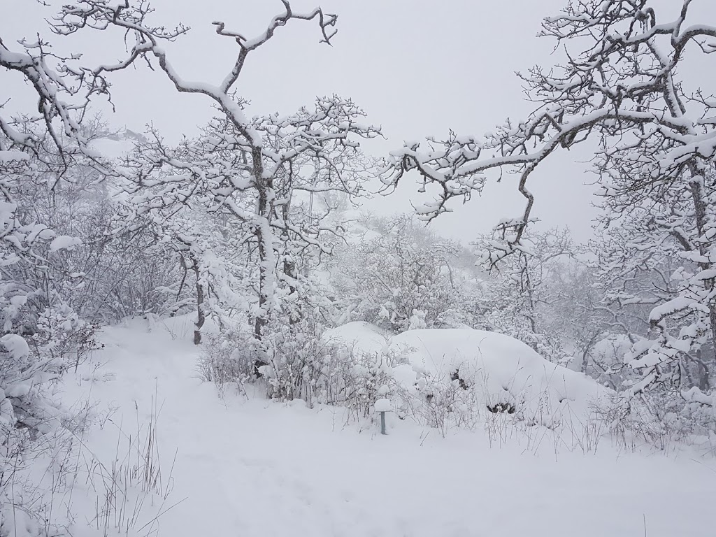 Christmas Hill | 3873 Swan Lake Road, Victoria, Saanich, BC V8X 3W1, Canada | Phone: (250) 479-0211