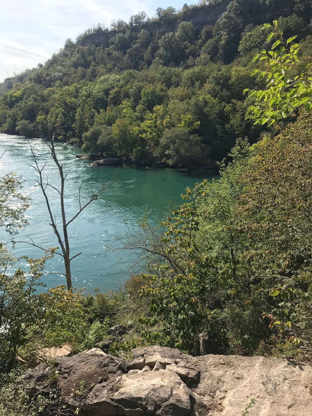 Niagara Glen Nature Centre | 3050 Niagara Pkwy, Niagara Falls, ON L2E 3E8, Canada