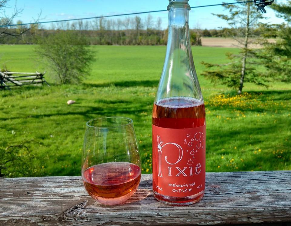 Rosehall Run Vineyards Inc | 1243 Greer Rd, Wellington, ON K0K 3L0, Canada | Phone: (613) 399-1183