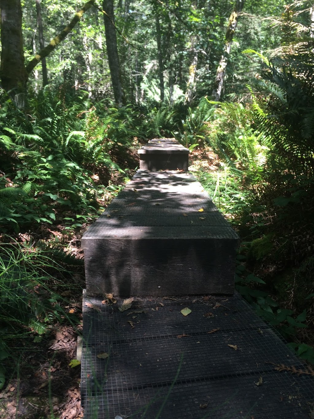 Found Road Trail | Canal Rd, Pender Island, BC V0N 2M3, Canada