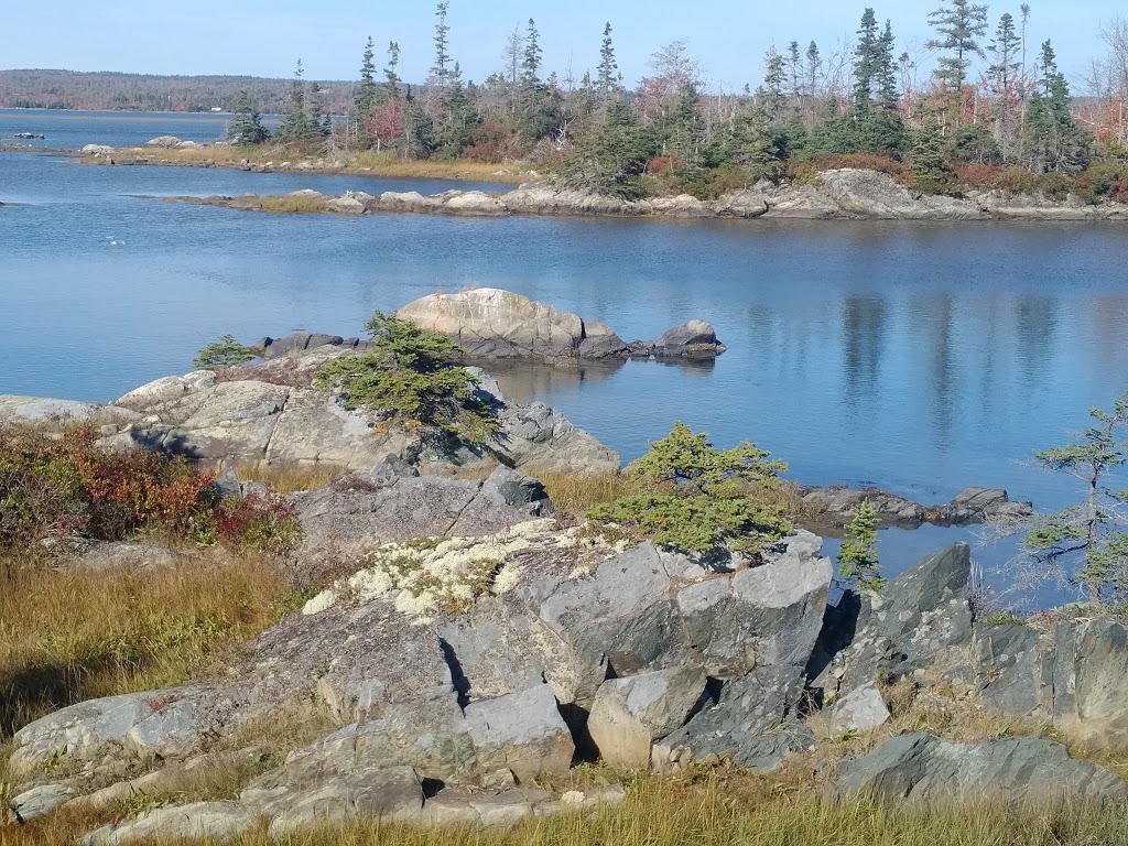 Salt Marsh Trail | Trans Canada Trial, Cole Harbour, NS B2V 2T2, Canada