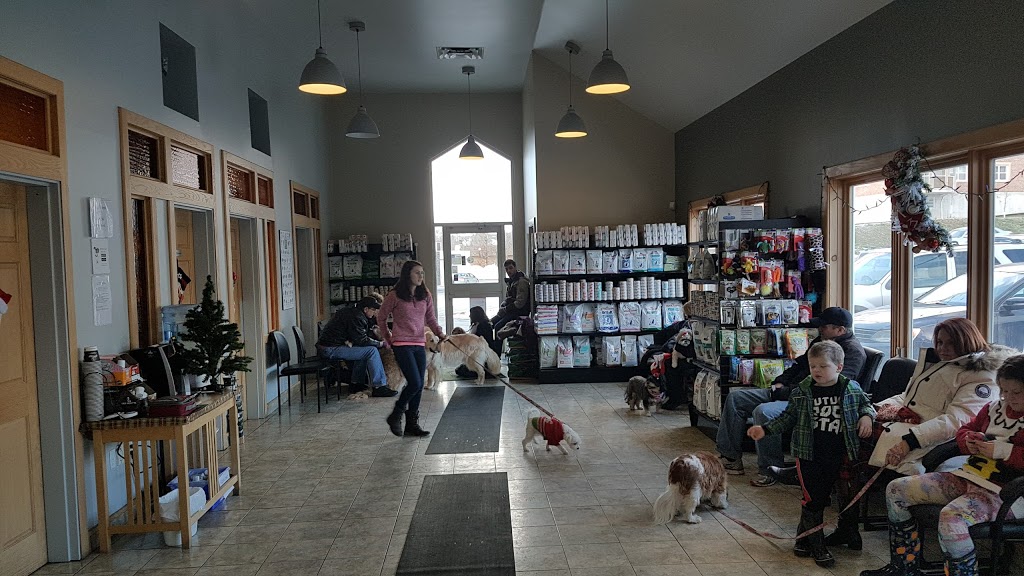 Cobequid Animal Hospital | 15 Cobequid Rd, Lower Sackville, NS B4C 2M9, Canada | Phone: (902) 865-8110