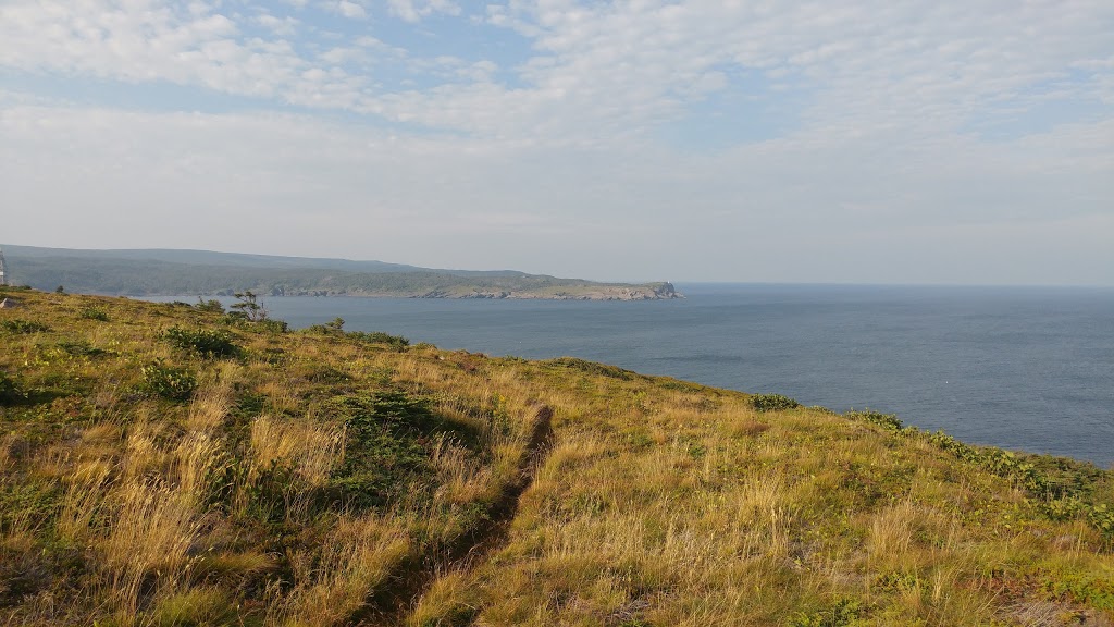 Mickellens Path | 53 Quays Rd, Goulds, NL A1S 1R3, Canada