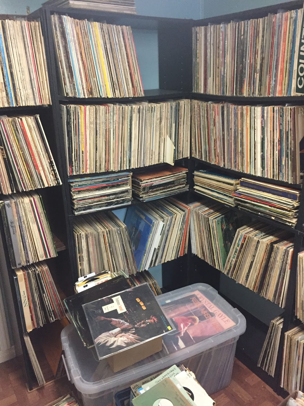Stardust Records | 124 Ottawa St N, Hamilton, ON L8H 3Z1, Canada | Phone: (905) 545-4011