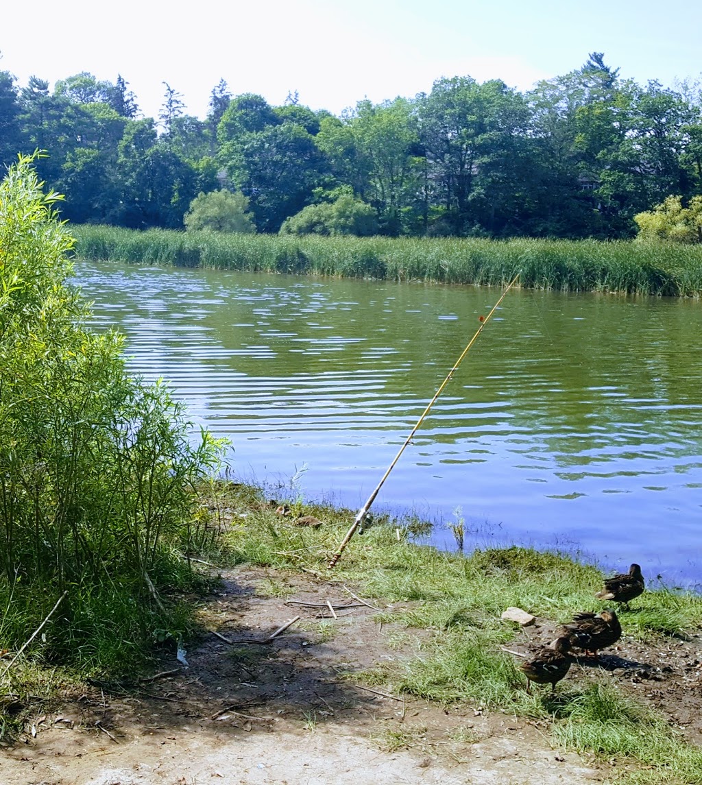 Credit River Flats Park | 350 Mineola Rd, Mississauga, ON L5G 2V2, Canada