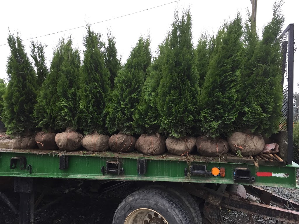 My Fraser green landscaping ltd | 3983 Paradise Pl, Abbotsford, BC V2S 8E3, Canada | Phone: (604) 825-3175
