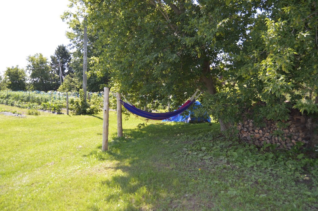 Les Couleurs De La Terre | 1200 Chemin de la Grande Rivière N, Yamachiche, QC G0X 3L0, Canada | Phone: (819) 690-4804