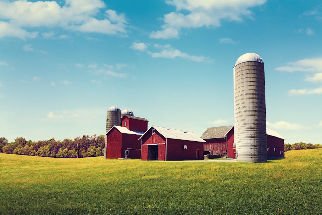 Mount Hope Organics | 5463 Chippewa Rd E, Mount Hope, ON L0R 1W0, Canada | Phone: (647) 700-0246