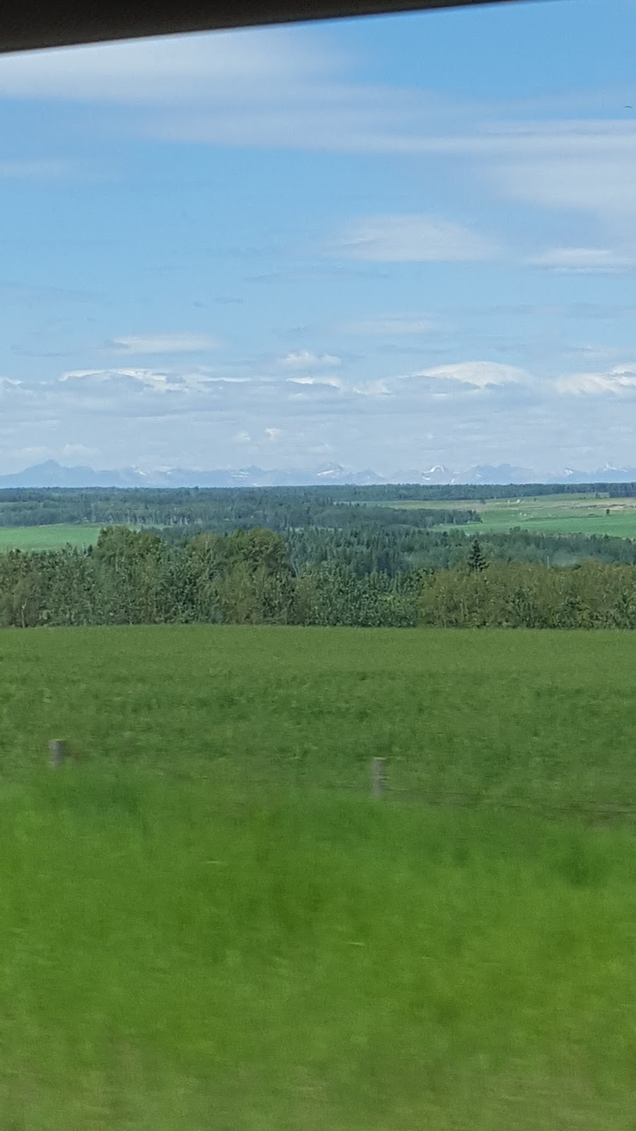 The Saskaberry Ranch | Township Rd 324, Alberta T0M 1X0, Canada | Phone: (403) 507-8994