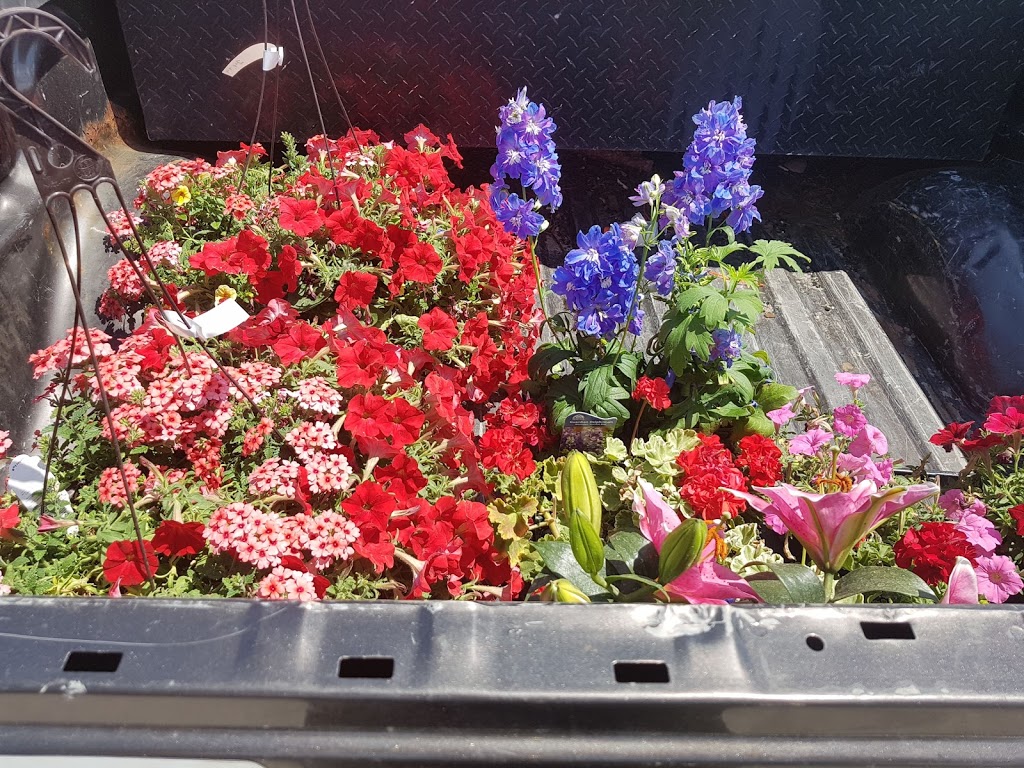Caledonia Garden Centre | 652 ON-6, Caledonia, ON N3W 1M6, Canada | Phone: (905) 765-6639
