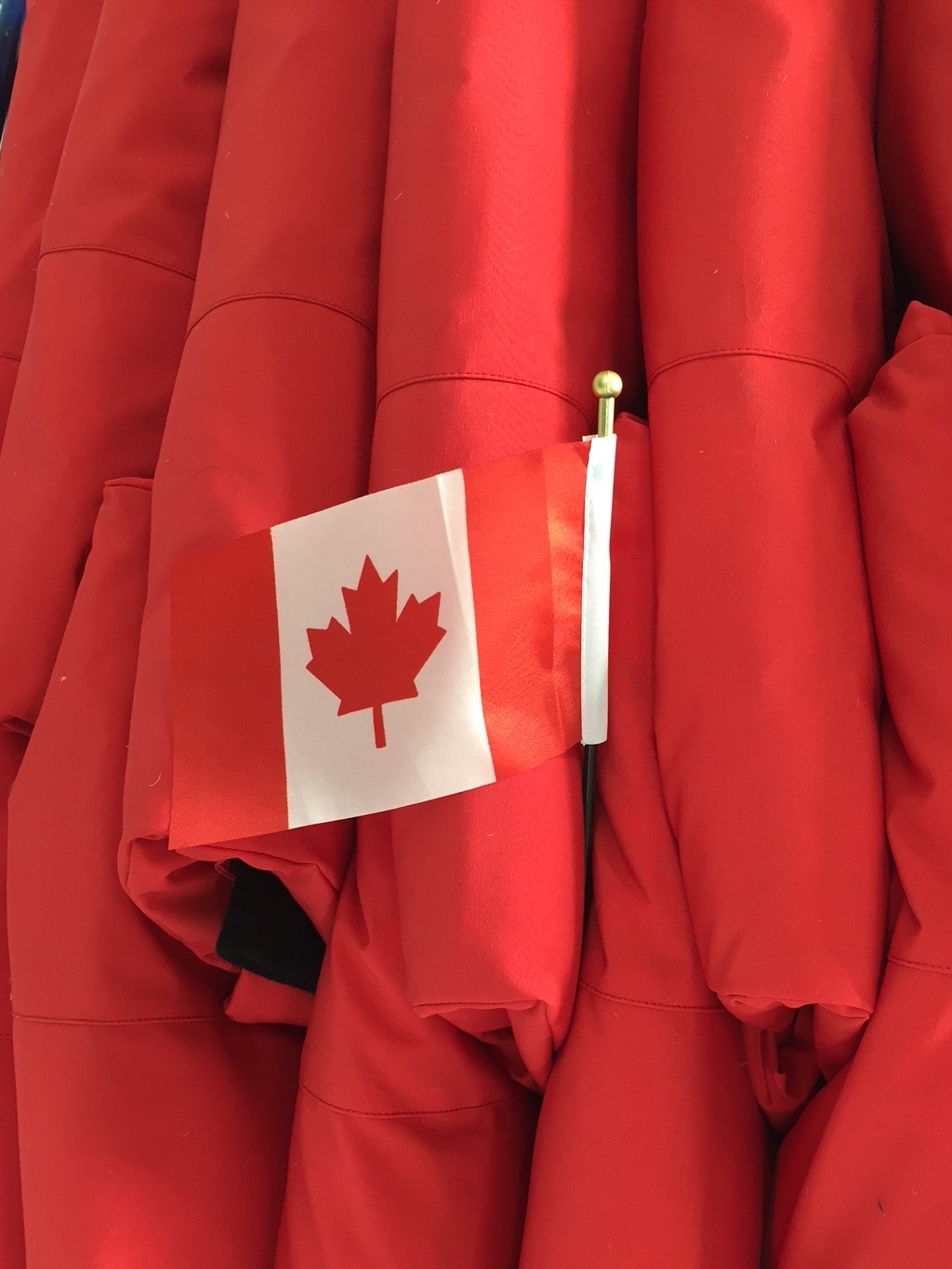 Deasil Custom Sewing Inc | 195 Mountain St S, Morden, MB R6M 1R8, Canada | Phone: (204) 822-6139