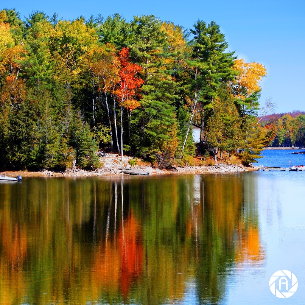 Aperture Design & Photography | 11 Blaydon Ln, Aurora, ON L4G 7P7, Canada | Phone: (416) 560-5719
