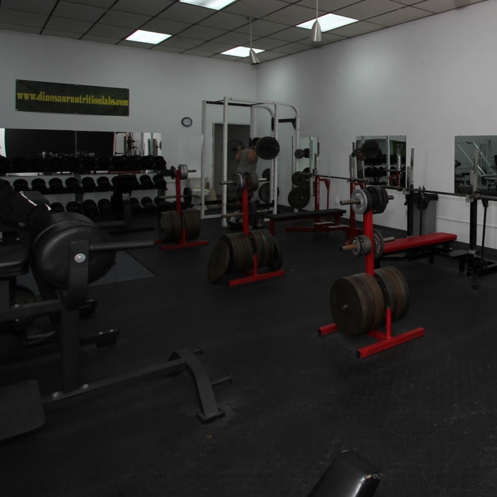 Elite Fitness & Personal Training | 4611 Military Rd, Niagara Falls, NY 14305, USA | Phone: (716) 531-2465