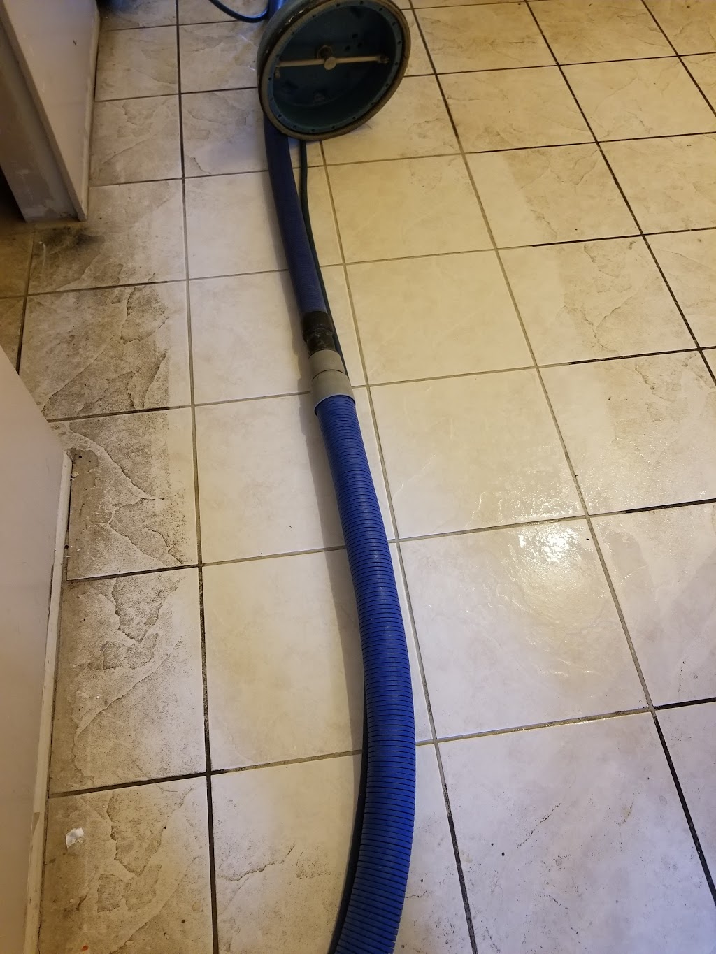 Lower Mainland Carpet Cleaning | 31483 Legacy Ct, Abbotsford, BC V2T 6W5, Canada | Phone: (604) 857-2727