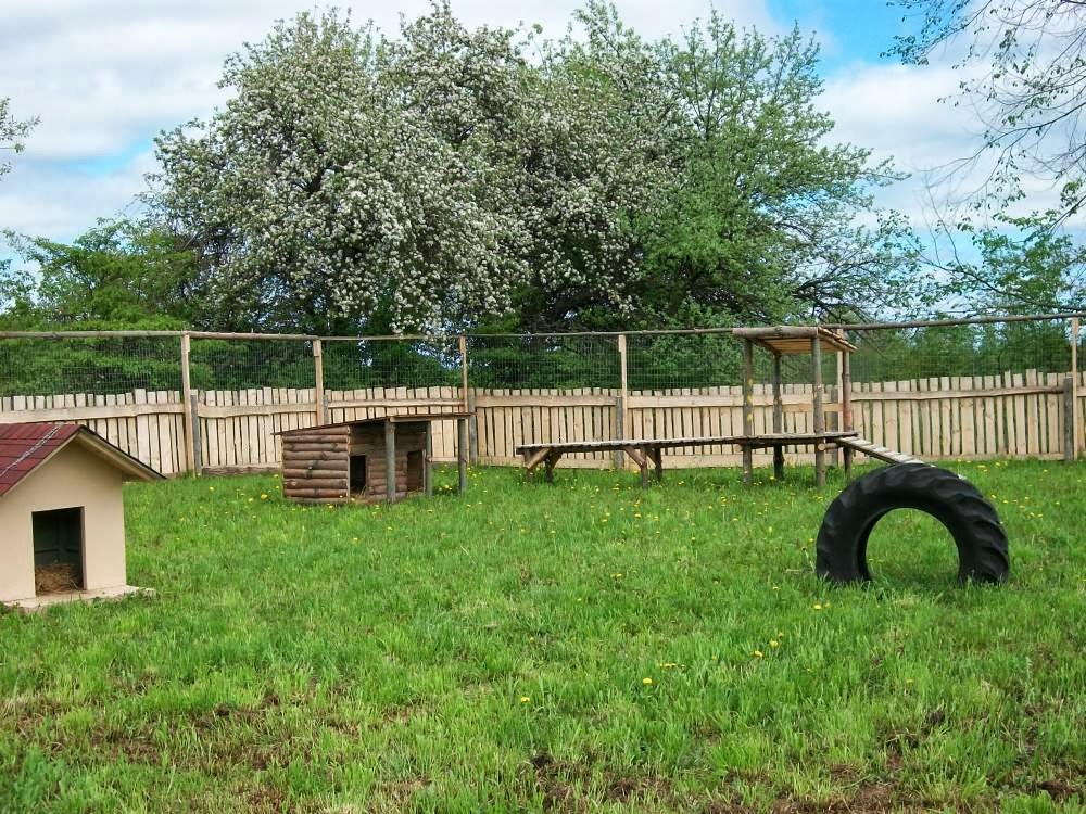 Kennel Land | 12527 Fifth Line Nass, Rockwood, ON N0B 2K0, Canada | Phone: (519) 853-9680