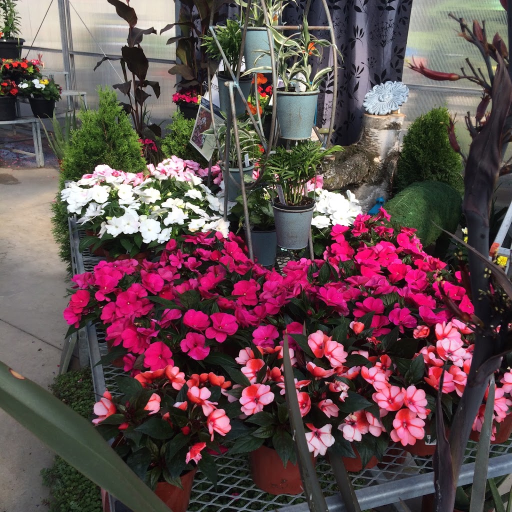 Wildhagen Greenhouses | 7291 Milburough Line, Milton, ON L0P 1B0, Canada | Phone: (905) 689-8427