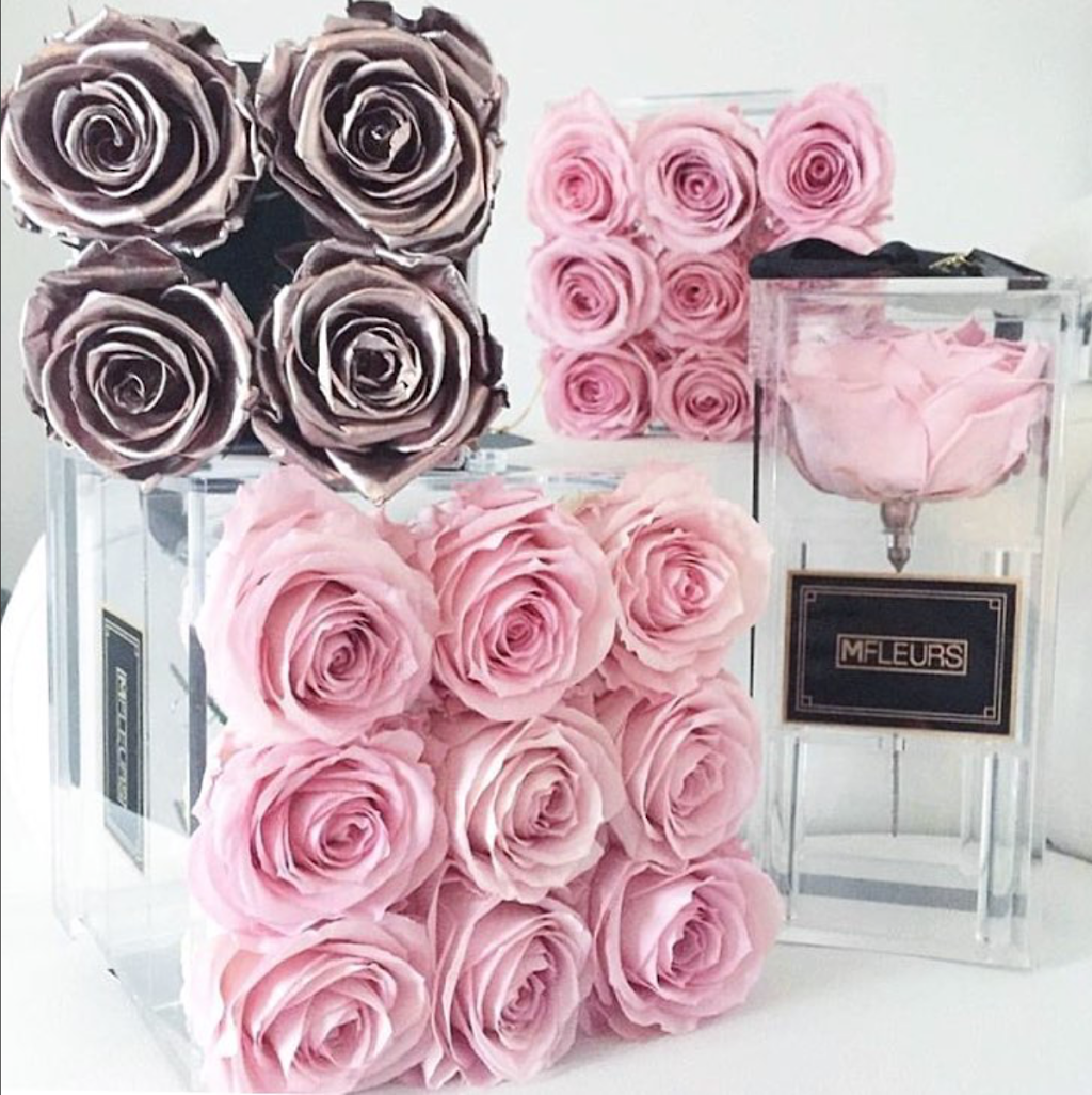 MFLEURS MTL | 9260 Boul Henri-Bourassa O, Saint-Laurent, QC H4S 1L5, Canada | Phone: (514) 334-7405