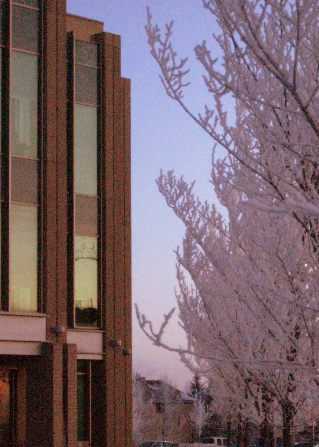 Faculty of Arts - MRU | 75 Mt Royal Cir SW, Calgary, AB T3E 0A3, Canada | Phone: (403) 440-6111