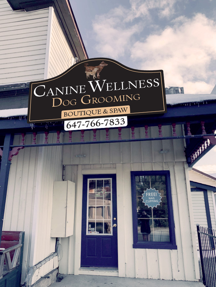 Canine Wellness Dog Grooming Boutique and Spa | 1 Queen St, Cookstown, ON L0L 1L0, Canada | Phone: (647) 766-7833