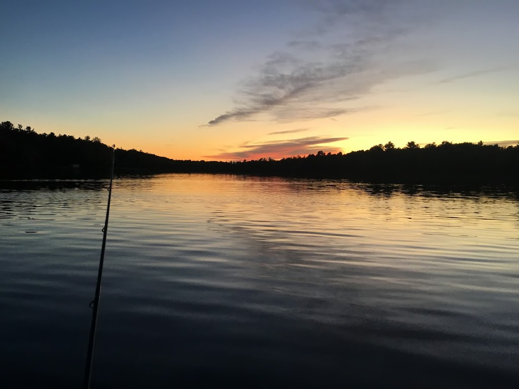 Sunrise Resort | 873 Sunrise Ct, Buckhorn, ON K0L 1J0, Canada | Phone: (705) 657-8713