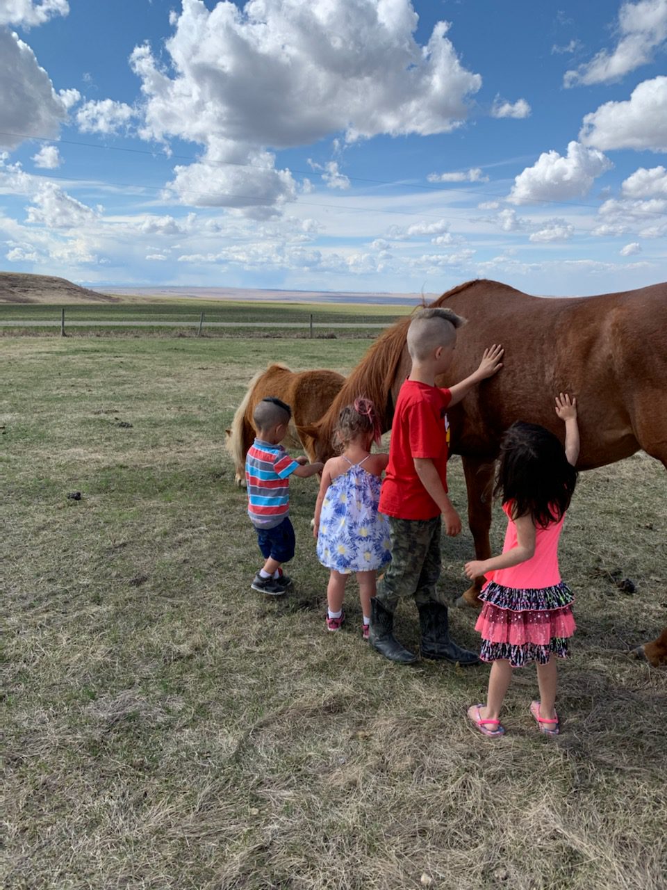 Happy Soles Fun Farm | 194063, Range Rd 245, AB T0L 1P0, Canada | Phone: (403) 800-2283