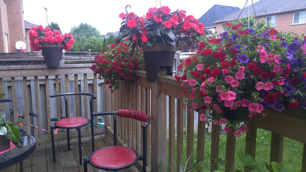 Four Winds Parkette | 331 Sunset Beach Rd, Richmond Hill, ON L4E 3J1, Canada | Phone: (905) 771-8800
