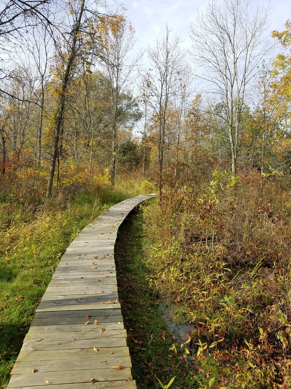 El Dorado Beach Preserve | Grandjean Rd, Henderson, NY 13650, USA | Phone: (315) 387-3600