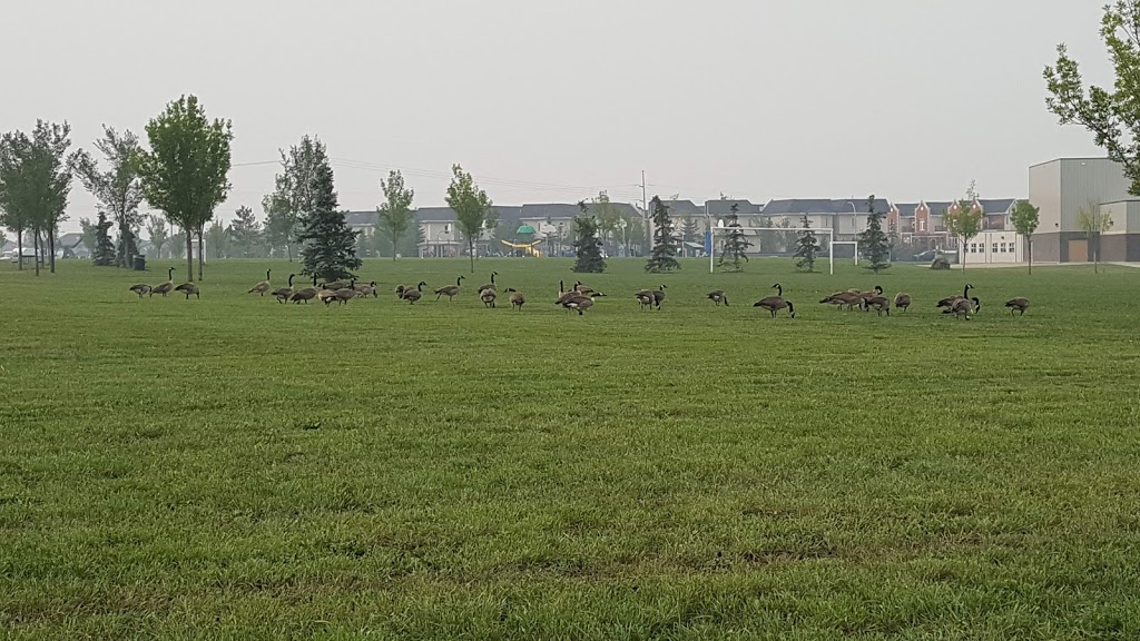 Poplar District Park | 8403 167 Ave NW, Edmonton, AB T5Z 0B3, Canada | Phone: (780) 457-0948