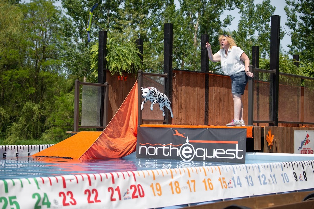 Northequest Canine Sport & Training Facility | Uxbridge, ON L0C 1A0, Canada | Phone: (416) 409-5672