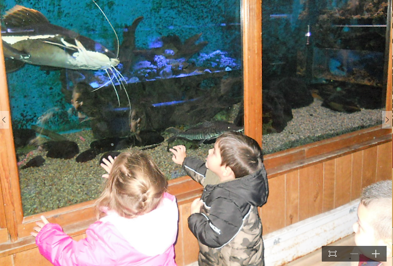 His Care Day Care | 5961 Garlow Rd, Niagara Falls, NY 14304, USA | Phone: (716) 298-4269