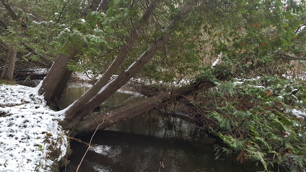 West Duffins Creek Headwaters | 1203-1999, Concession Rd 2, Whitchurch-Stouffville, ON L4A 7X4, Canada