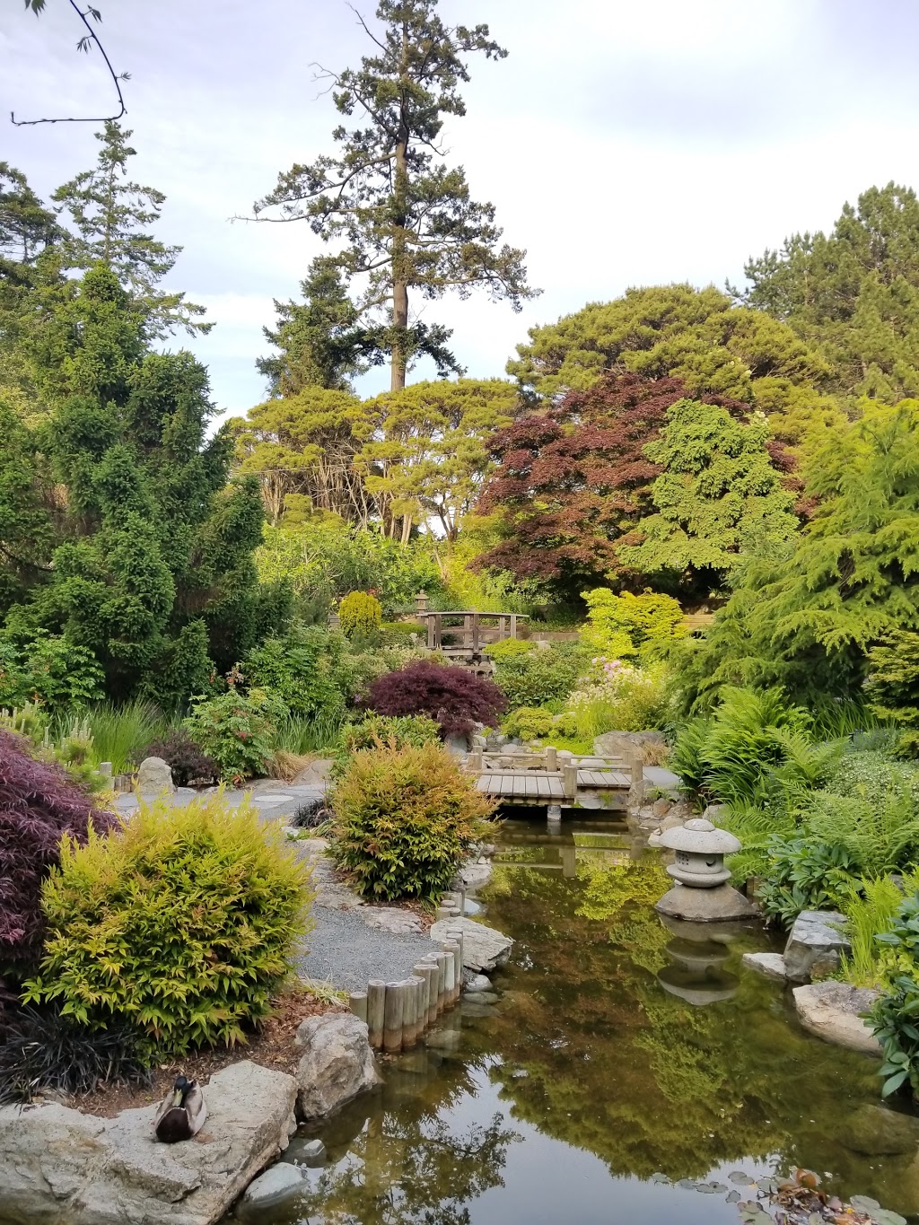 Gorge Park | 1070 Tillicum Rd, Victoria, BC V9A 2A1, Canada | Phone: (250) 412-8500