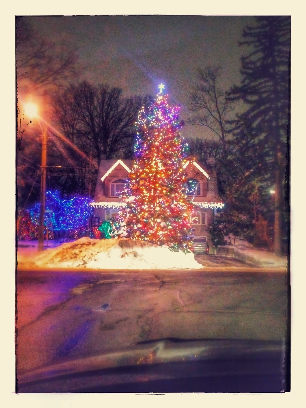 Pelmo Park | 171 Pellatt Ave, North York, ON M9N 2P5, Canada