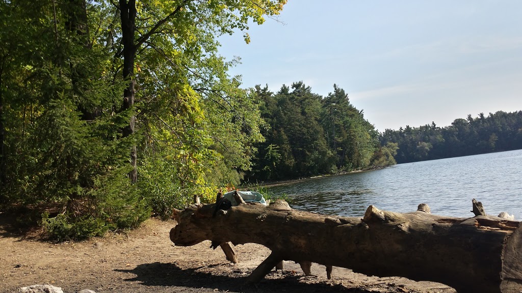 Ozark Park | 24 Antique Dr, Richmond Hill, ON L4E 3X5, Canada | Phone: (905) 771-8800