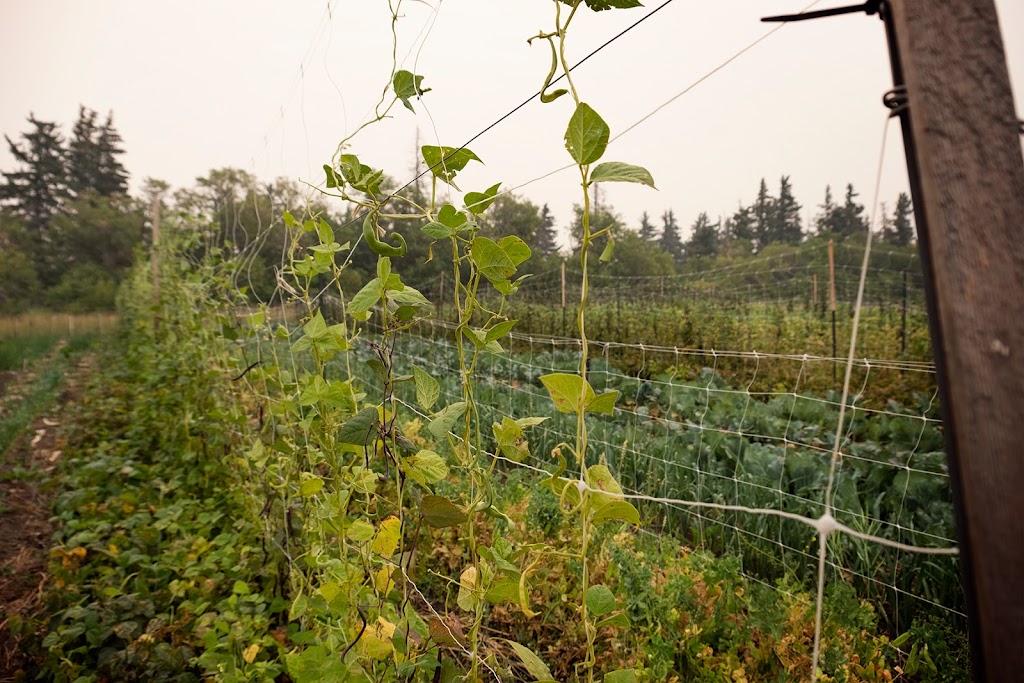 Happiness By The Acre | 2168 TWP 304, Didsbury, AB T0M 0W0, Canada | Phone: (403) 796-8293