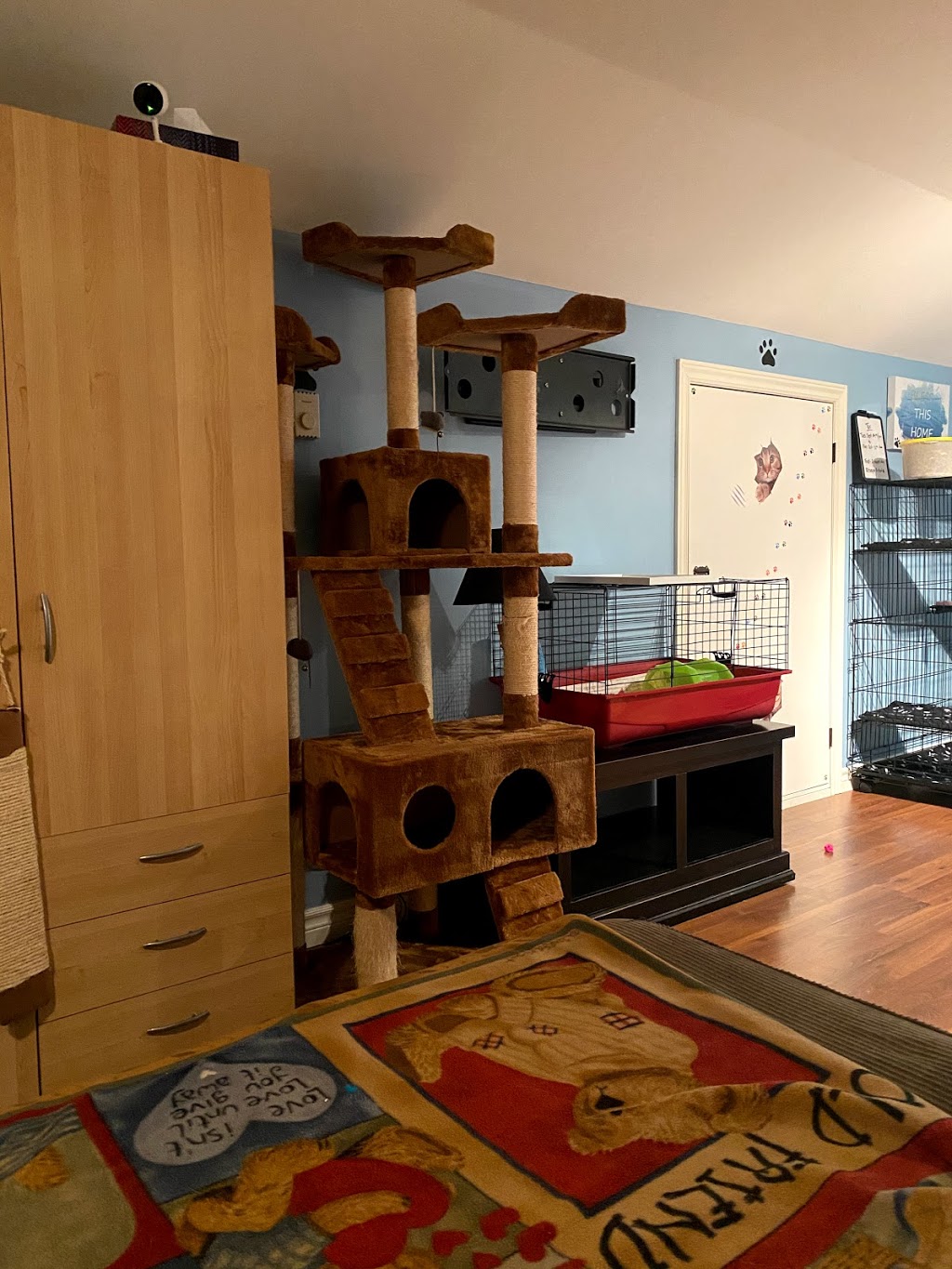 Muskoka’s Critter Sitter | 1042 S Kahshe Lake Rd, Kilworthy, ON P0E 1G0, Canada | Phone: (705) 279-3517