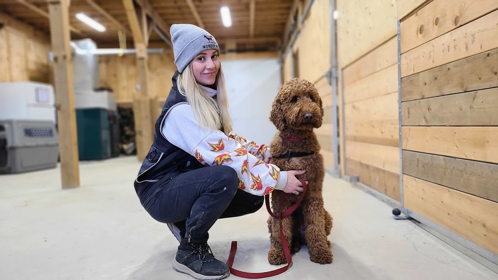Wunder K9 | 384169, Side Rd 20, Laurel, ON L0N 1L0, Canada | Phone: (905) 869-7129