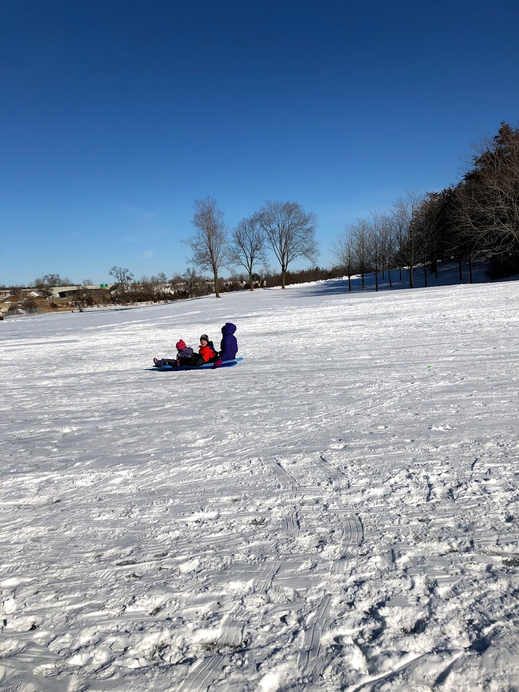 401 Hill Tobogganing Hill (Riverside Park) | Riverside Park Trail, Belleville, ON K8N 2S3, Canada | Phone: (613) 968-6481