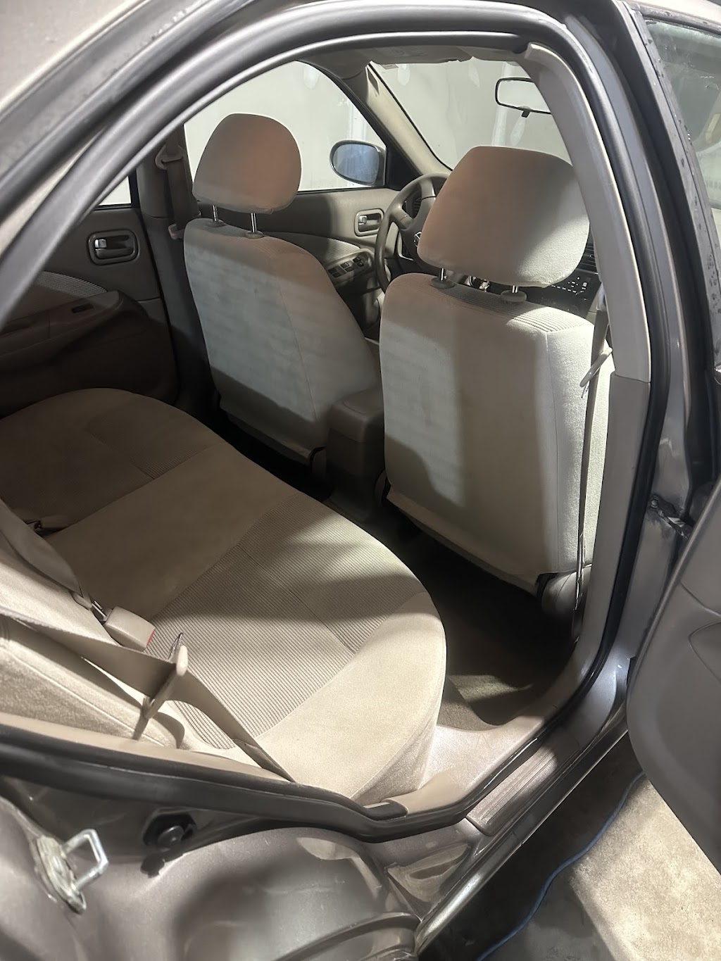 Professor Detailing | 11 Remembrance Rd, Brampton, ON L7A 0A7, Canada | Phone: (437) 988-4992